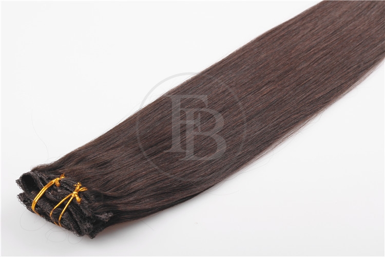 Darkest Brown #2 Clips for Hair Extensions 