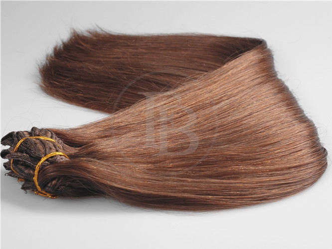 Chestnut Brown #6 Buy Clip in Hair Extensions 