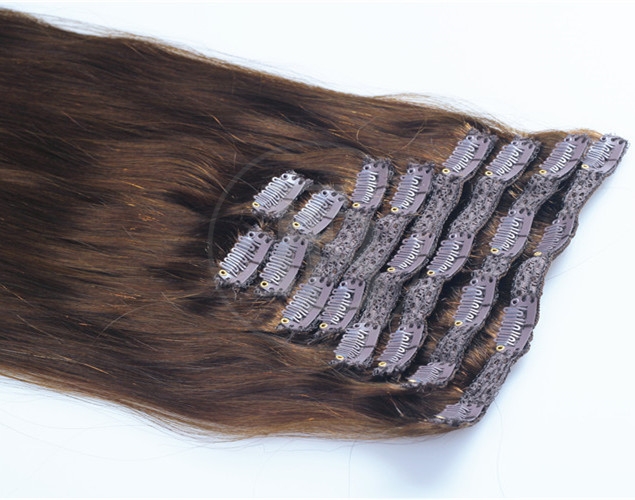 Chocolate Brown #4 Hair Extensions Clip on 