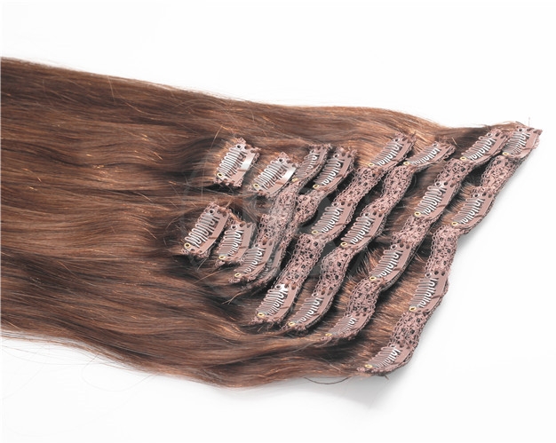 #6 Lace - Clip in Hair - Classic Range