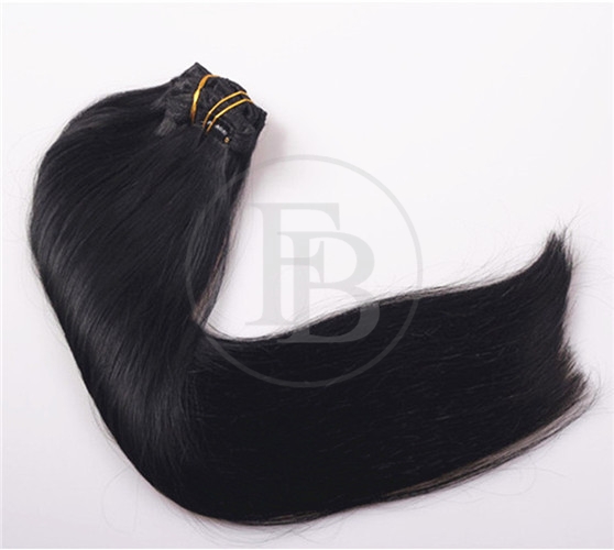 Jet Black #1 Real Hair Clip in Extensions Clip Hair Extension 