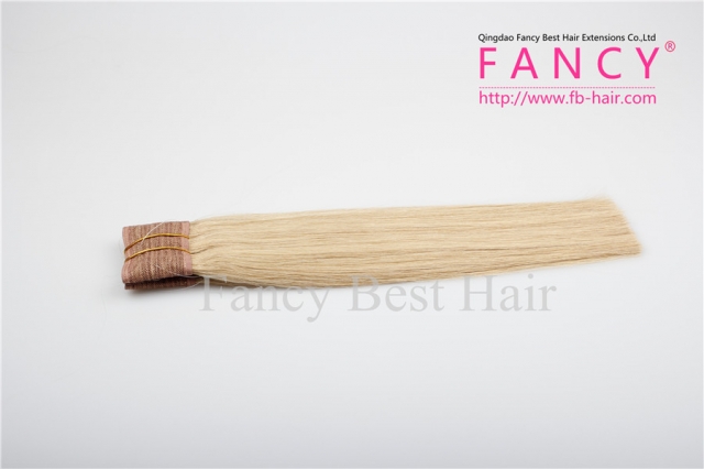 Ash Blonde #18 Halo Hair Extensions