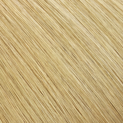 Blonde #24 tape in hair extension 