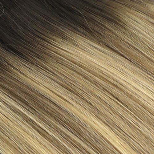 #T2a-8/24 Rooted Balayage-  Genius Weft