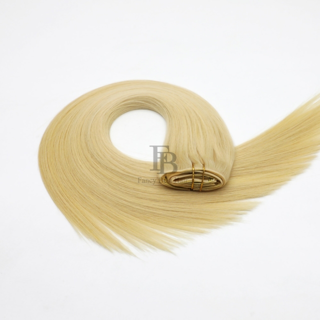 #613 PU - Clip in Hair - Classic Range