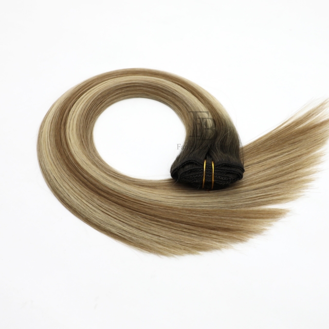 #T4-P8/60 Lace- Clip in Hair - Classic Range