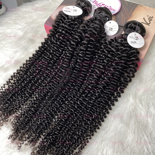Wholesale Pre-plucked 3 Bundles Brazilian Kinky Curly Hair With 6x6 Lace Closure,can do dropshipping