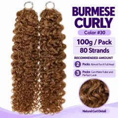 Burmese Curly · #30