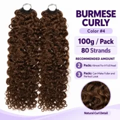Burmese Curly · #4