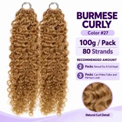 Burmese Curly · #27