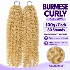 Burmese Curly · #613