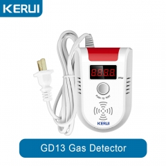 GD13 GAS detector