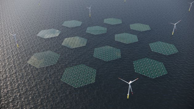 Un projet pilote en mer du Nord développera des panneaux solaires flottants qui glissent sur les vagues "comme un tapis"