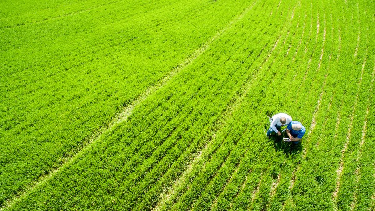 Grupos agrícolas dos EUA definem suas prioridades no próximo projeto de lei agrícola