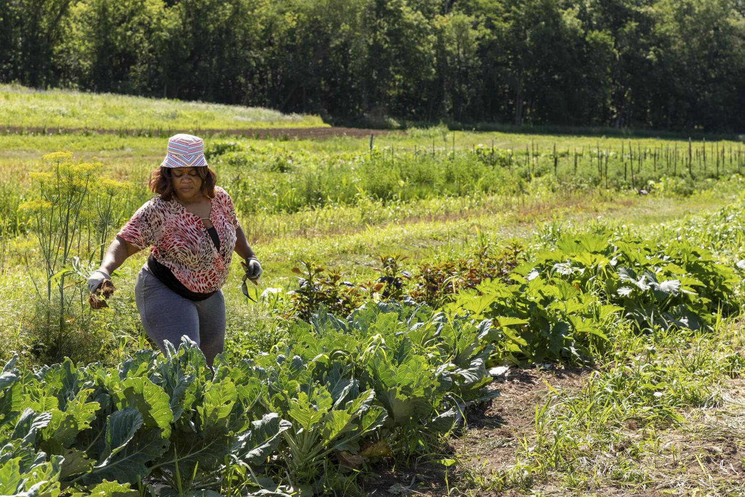 Helping the World Adapt to the Climate Crisis with Agricultural Solutions