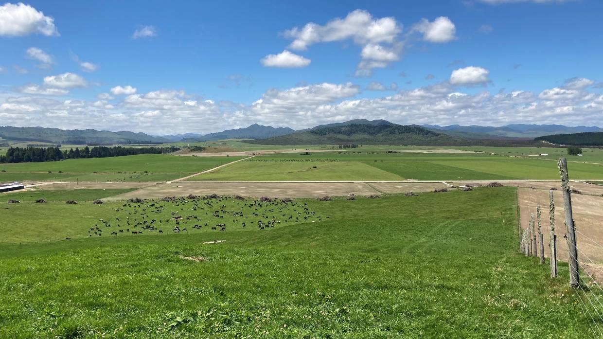 Projeto enorme de fazenda solar perto de Taupō prestes a ver a luz