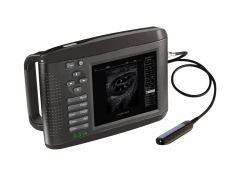 Palm-mode veterinary ultrasound scanner YSD3100