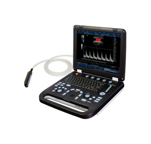 veterinary use laptop ultrasound scanner YSD4100vet