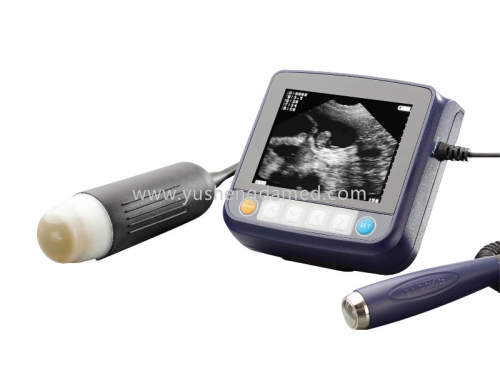 Palmtop Ultrasound Scanner YSD3000A-Vet