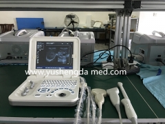 YSD4006 Multi-Parameter Full Digital Diagnostic Ultrasound System