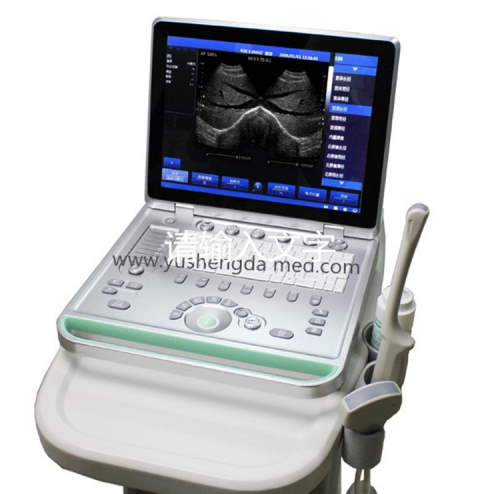 YSD4200B Hot Sale Mode Medical Device Ultrasound Scanner