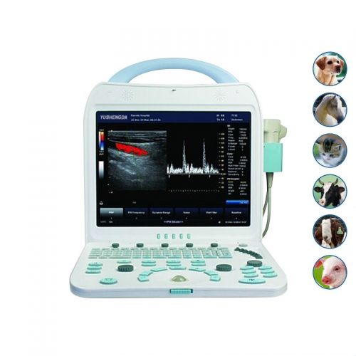 Veterinary Color Duoppler Ultrasound Machine YSD350-Vet