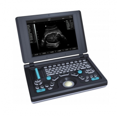 Veterinary Digital Portable Ultrasound Machine YSD4200-Vet