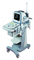 Digital ultrasound scanner YSD1308