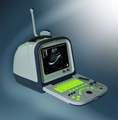 Digital ultrasound scanner YSD1308