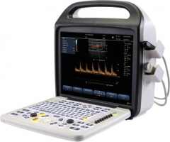 3D laptop/portable veterinary color Doppler ultrasound scanner YSD290-V