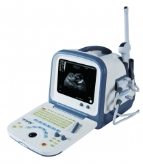 Digital ultrasound scanner YSD1308