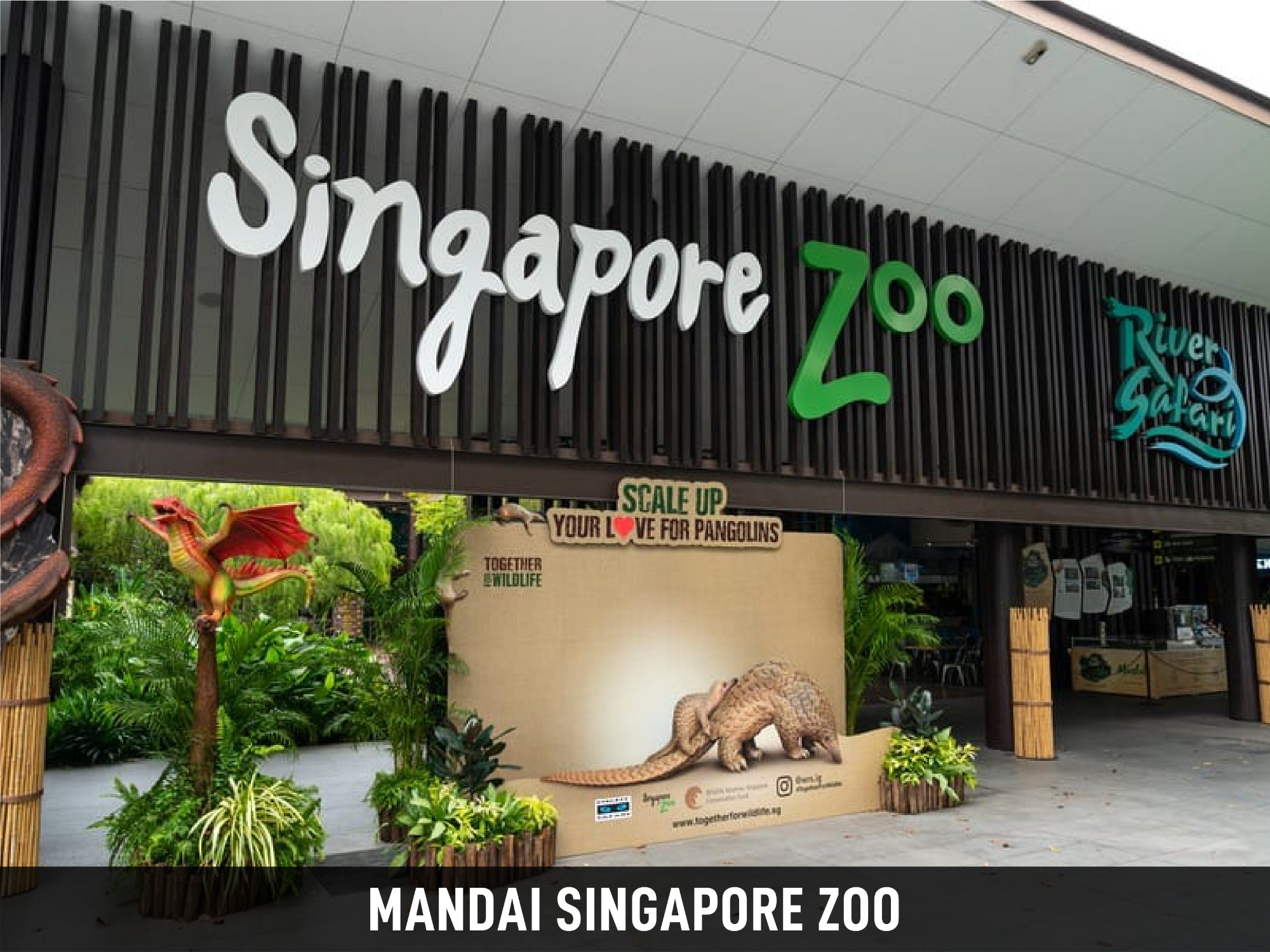 Mandai Singapore Zoo
