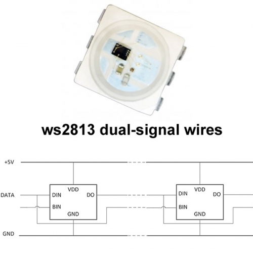 1000pcs WS2813