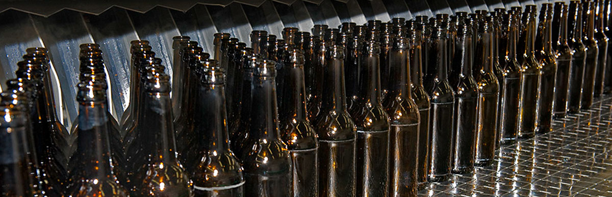 Lavadoras de botellas