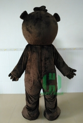 Bear costume