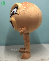 Custom Mascot Costume