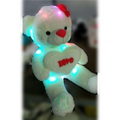 LED Teddy Bear with Heart