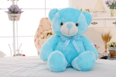 50cm LED Teddy Bear for Valentine's Day