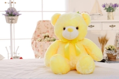 50cm LED Teddy Bear for Valentine's Day