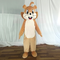 Customized Squirrel Mascot Costume