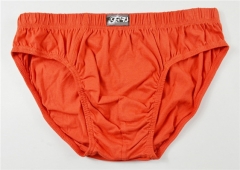 Men's Brief Shorts