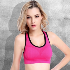 Seamless Sports Bra