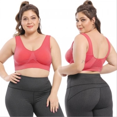 Plus Size Seamless Sports Bra