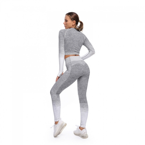 Seamless Sports Long-Sleeve 2PC Set