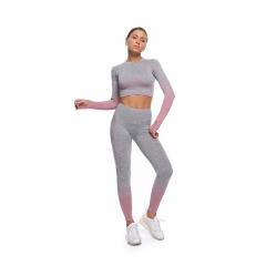 Seamless Sports Long-Sleeve 2PC Set