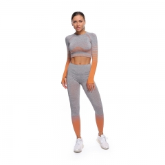 Seamless Sports Long-Sleeve 2PC Set