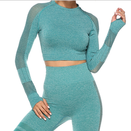 Seamless Sports Long-Sleeve 2PC Set