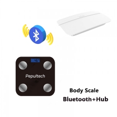 Remote Weight Scale