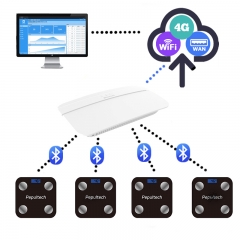 远程体重秤
