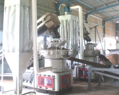 Belarus clients installed wood pellet making plant